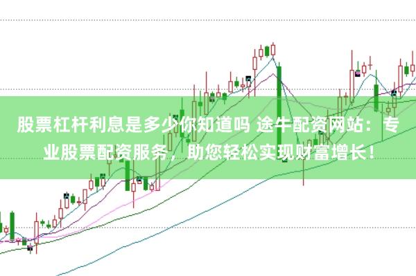股票杠杆利息是多少你知道吗 途牛配资网站:专业股票配资服务,助您轻松实现财富增长!