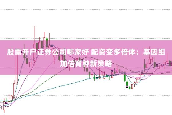 股票开户证券公司哪家好 配资变多倍体:基因组加倍育种新策略