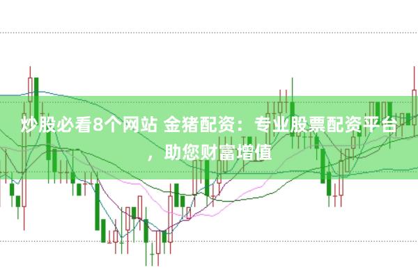 炒股必看8个网站 金猪配资：专业股票配资平台，助您财富增值