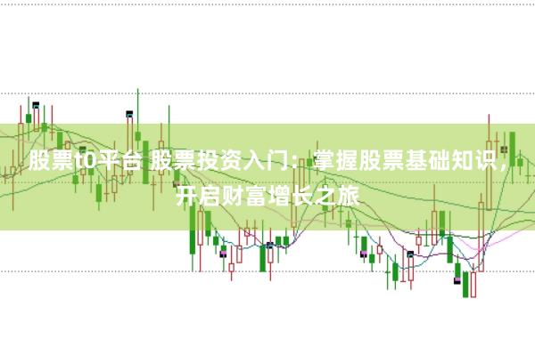 股票t0平台 股票投资入门：掌握股票基础知识，开启财富增长之旅