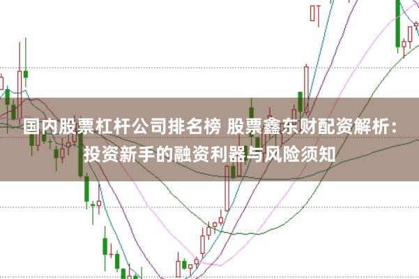 国内股票杠杆公司排名榜 股票鑫东财配资解析：投资新手的融资利器与风险须知