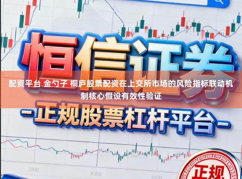 配资平台 金勺子 桐庐股票配资在上交所市场的风险指标联动机制核心假设有效性验证