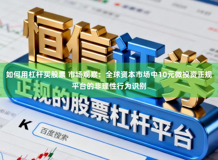 如何用杠杆买股票 市场观察：全球资本市场中10元微投资正规平台的非理性行为识别