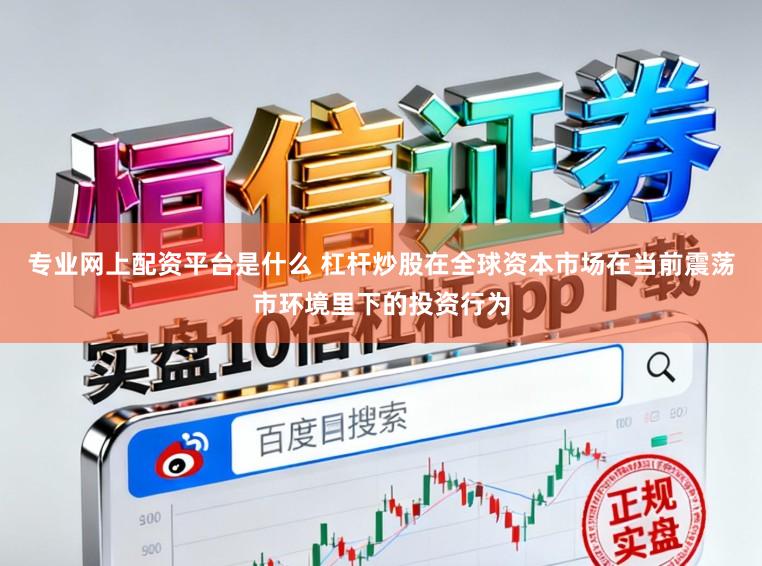 专业网上配资平台是什么 杠杆炒股在全球资本市场在当前震荡市环境里下的投资行为