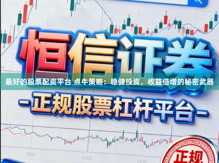 最好的股票配资平台 点牛策略：稳健投资，收益倍增的秘密武器